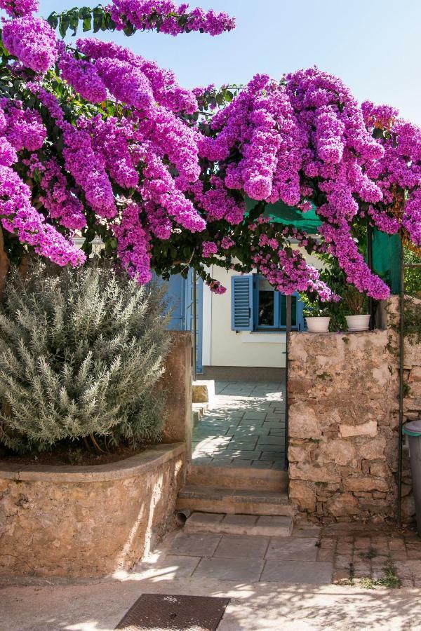 Apartments Relax Veli Lošinj Dış mekan fotoğraf